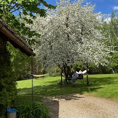 Konesera Trzcin