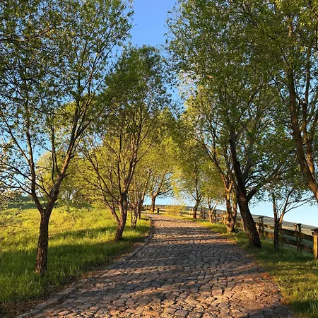 Konesera Дом отдыха Trzcin