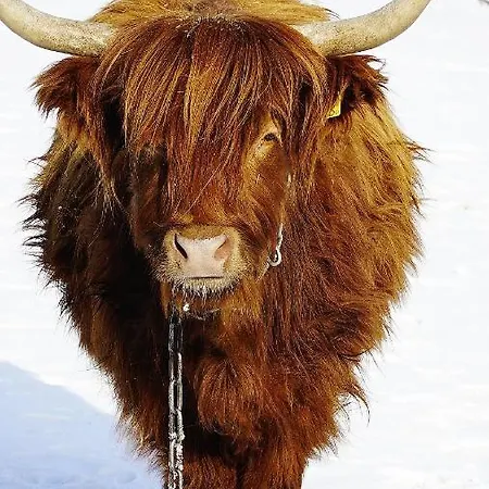 Prázdninový dům Konesera Trzcin