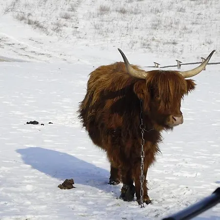 Konesera Prázdninový dům