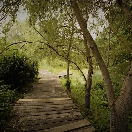 Ferienhaus Konesera Trzcin