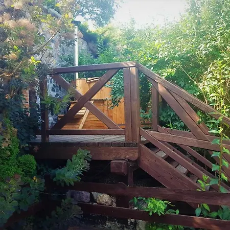 Konesera Semesterbostad Trzcin