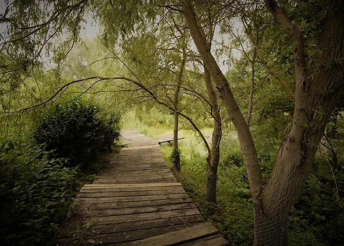 Holiday home Konesera Trzcin