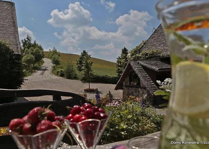 Holiday home Konesera Trzcin